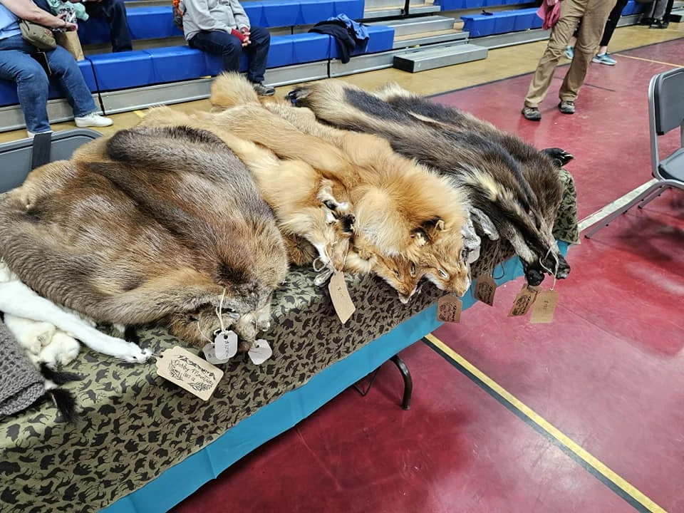 Discovering Newton Peak Hike in Nome, Alaska: A Comprehensive Adventure Guide 44 Cruising with Danny and Peter, Holland America Line, Westerdam, Nome, Alaska, United States | Scenic images of the Newton Peak Hike in Nome, Alaska, including the trailhead marking the start of the adventure, hikers ascending the challenging terrain, panoramic summit views of rolling hills and the Bering Sea, wildlife like curious squirrels and soaring birds along the trail, and vibrant wildflowers adding color to the rugged landscape.