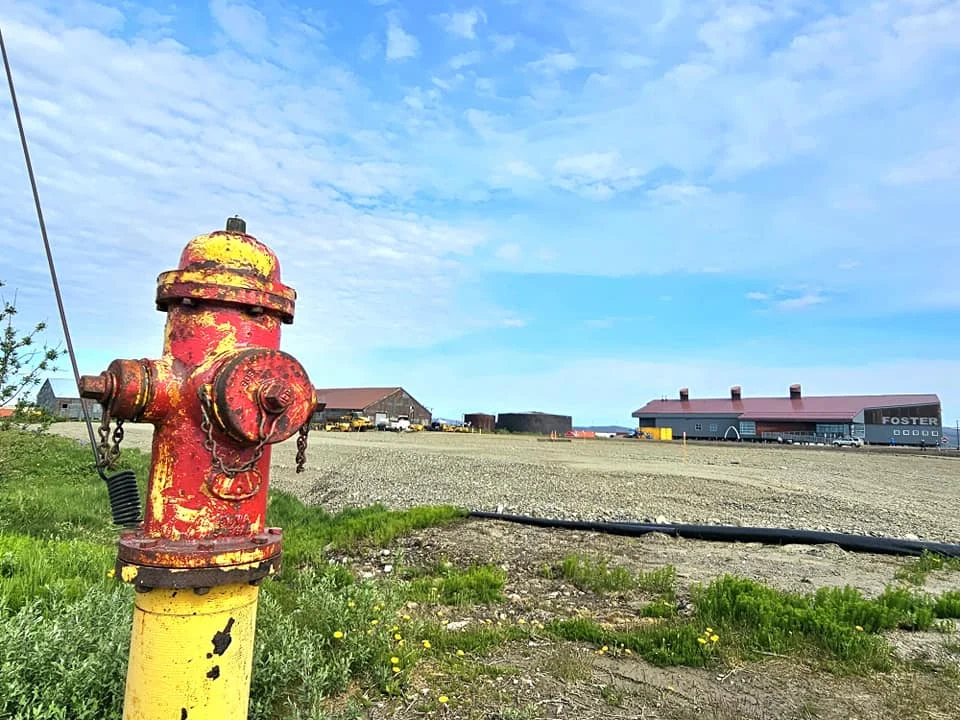 Discovering Newton Peak Hike in Nome, Alaska: A Comprehensive Adventure Guide 45 Cruising with Danny and Peter, Holland America Line, Westerdam, Nome, Alaska, United States | Scenic images of the Newton Peak Hike in Nome, Alaska, including the trailhead marking the start of the adventure, hikers ascending the challenging terrain, panoramic summit views of rolling hills and the Bering Sea, wildlife like curious squirrels and soaring birds along the trail, and vibrant wildflowers adding color to the rugged landscape.