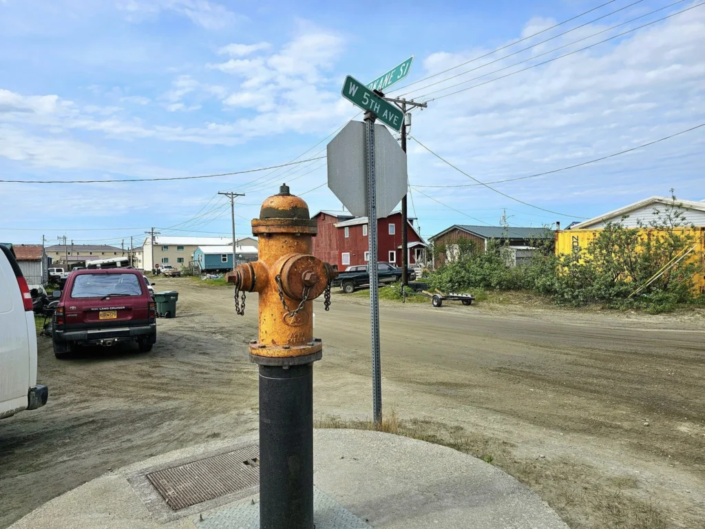 Discovering Newton Peak Hike in Nome, Alaska: A Comprehensive Adventure Guide 46 Cruising with Danny and Peter, Holland America Line, Westerdam, Nome, Alaska, United States | Scenic images of the Newton Peak Hike in Nome, Alaska, including the trailhead marking the start of the adventure, hikers ascending the challenging terrain, panoramic summit views of rolling hills and the Bering Sea, wildlife like curious squirrels and soaring birds along the trail, and vibrant wildflowers adding color to the rugged landscape.