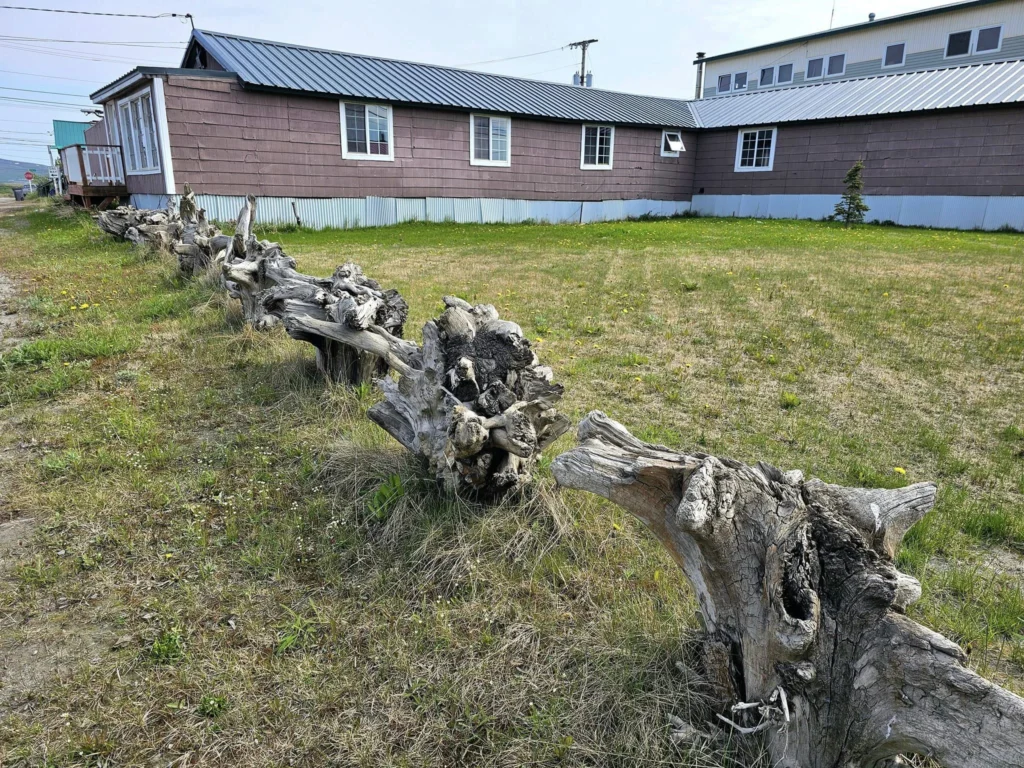 Discovering Newton Peak Hike in Nome, Alaska: A Comprehensive Adventure Guide 47 Cruising with Danny and Peter, Holland America Line, Westerdam, Nome, Alaska, United States | Scenic images of the Newton Peak Hike in Nome, Alaska, including the trailhead marking the start of the adventure, hikers ascending the challenging terrain, panoramic summit views of rolling hills and the Bering Sea, wildlife like curious squirrels and soaring birds along the trail, and vibrant wildflowers adding color to the rugged landscape.