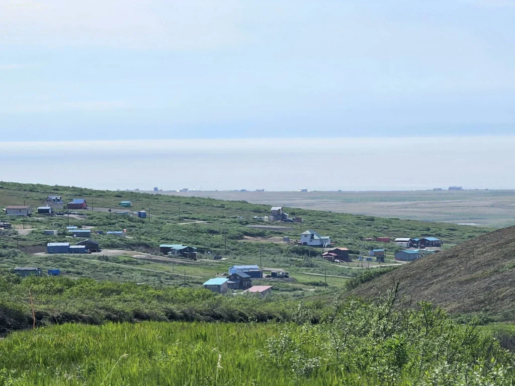 Discovering Newton Peak Hike in Nome, Alaska: A Comprehensive Adventure Guide 49 Cruising with Danny and Peter, Holland America Line, Westerdam, Nome, Alaska, United States | Scenic images of the Newton Peak Hike in Nome, Alaska, including the trailhead marking the start of the adventure, hikers ascending the challenging terrain, panoramic summit views of rolling hills and the Bering Sea, wildlife like curious squirrels and soaring birds along the trail, and vibrant wildflowers adding color to the rugged landscape.