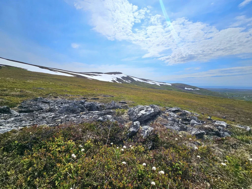Discovering Newton Peak Hike in Nome, Alaska: A Comprehensive Adventure Guide 57 Cruising with Danny and Peter, Holland America Line, Westerdam, Nome, Alaska, United States | Scenic images of the Newton Peak Hike in Nome, Alaska, including the trailhead marking the start of the adventure, hikers ascending the challenging terrain, panoramic summit views of rolling hills and the Bering Sea, wildlife like curious squirrels and soaring birds along the trail, and vibrant wildflowers adding color to the rugged landscape.