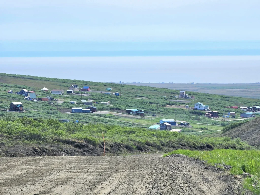 Discovering Newton Peak Hike in Nome, Alaska: A Comprehensive Adventure Guide 75 Cruising with Danny and Peter, Holland America Line, Westerdam, Nome, Alaska, United States | Scenic images of the Newton Peak Hike in Nome, Alaska, including the trailhead marking the start of the adventure, hikers ascending the challenging terrain, panoramic summit views of rolling hills and the Bering Sea, wildlife like curious squirrels and soaring birds along the trail, and vibrant wildflowers adding color to the rugged landscape.