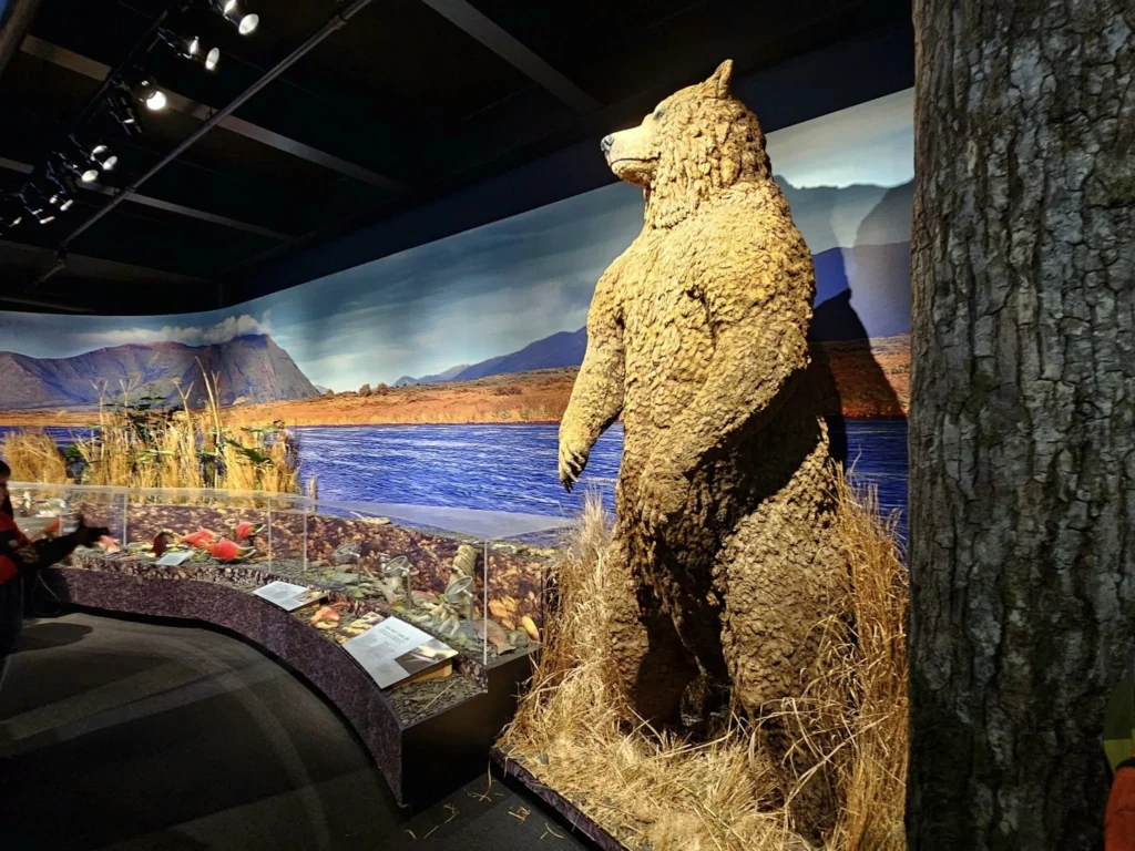 Cruising with Danny and Peter, Holland America Line, Westerdam, Kodiak, Alaska, United States | Explore Fort Abercrombie State Historical Park in Kodiak, Alaska, with views of WWII coastal defense remnants, the Observation Tower, and scenic Piedmont Point. Experience an exquisite dinner at Tamarind in the Pinnacle Grill aboard an Alaska Arctic Circle Solstice cruise, featuring Asian-inspired cuisine.