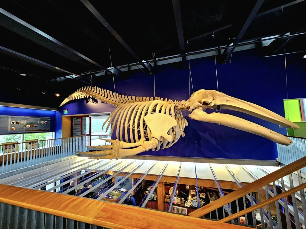 Cruising with Danny and Peter, Holland America Line, Westerdam, Kodiak, Alaska, United States | Explore Fort Abercrombie State Historical Park in Kodiak, Alaska, with views of WWII coastal defense remnants, the Observation Tower, and scenic Piedmont Point. Experience an exquisite dinner at Tamarind in the Pinnacle Grill aboard an Alaska Arctic Circle Solstice cruise, featuring Asian-inspired cuisine.