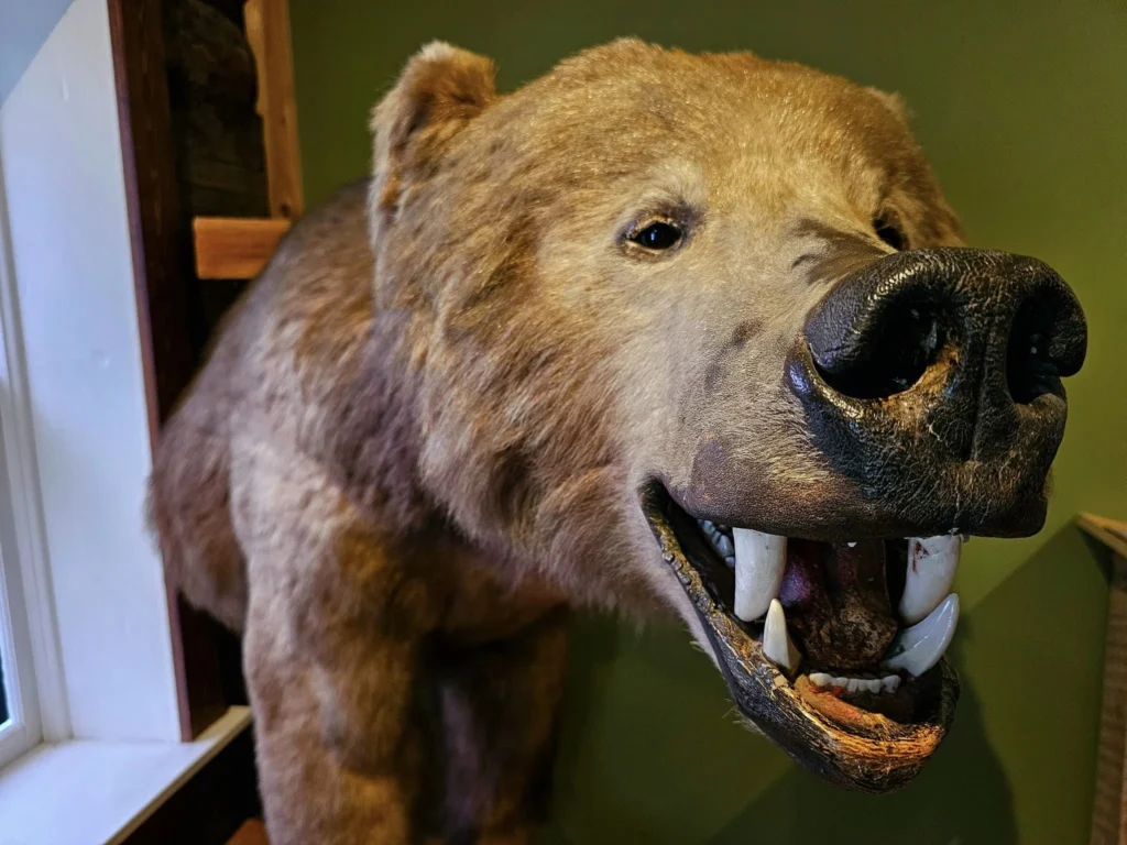 Cruising with Danny and Peter, Holland America Line, Westerdam, Kodiak, Alaska, United States | Explore Fort Abercrombie State Historical Park in Kodiak, Alaska, with views of WWII coastal defense remnants, the Observation Tower, and scenic Piedmont Point. Experience an exquisite dinner at Tamarind in the Pinnacle Grill aboard an Alaska Arctic Circle Solstice cruise, featuring Asian-inspired cuisine.