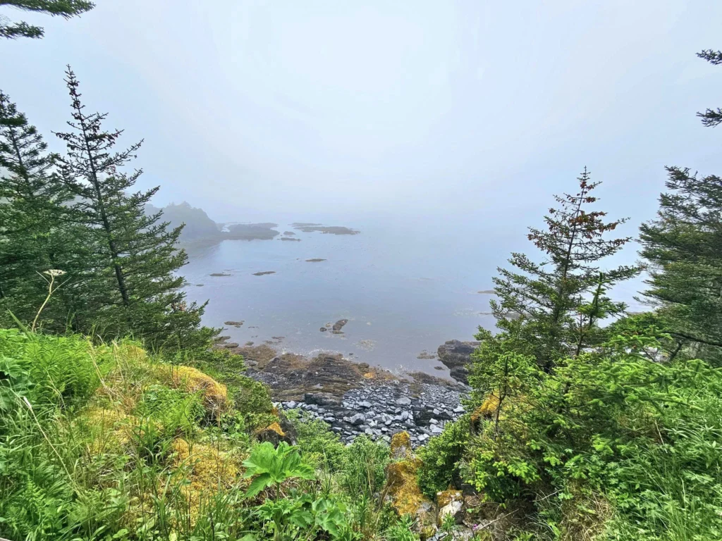 Cruising with Danny and Peter, Holland America Line, Westerdam, Kodiak, Alaska, United States | Explore Fort Abercrombie State Historical Park in Kodiak, Alaska, with views of WWII coastal defense remnants, the Observation Tower, and scenic Piedmont Point. Experience an exquisite dinner at Tamarind in the Pinnacle Grill aboard an Alaska Arctic Circle Solstice cruise, featuring Asian-inspired cuisine.