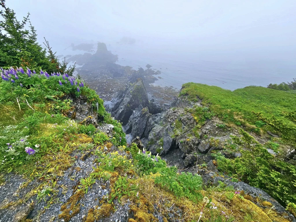 Cruising with Danny and Peter, Holland America Line, Westerdam, Kodiak, Alaska, United States | Explore Fort Abercrombie State Historical Park in Kodiak, Alaska, with views of WWII coastal defense remnants, the Observation Tower, and scenic Piedmont Point. Experience an exquisite dinner at Tamarind in the Pinnacle Grill aboard an Alaska Arctic Circle Solstice cruise, featuring Asian-inspired cuisine.