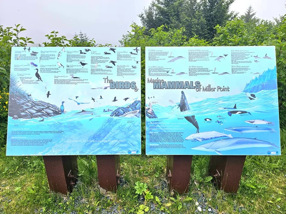 Cruising with Danny and Peter, Holland America Line, Westerdam, Kodiak, Alaska, United States | Explore Fort Abercrombie State Historical Park in Kodiak, Alaska, with views of WWII coastal defense remnants, the Observation Tower, and scenic Piedmont Point. Experience an exquisite dinner at Tamarind in the Pinnacle Grill aboard an Alaska Arctic Circle Solstice cruise, featuring Asian-inspired cuisine.