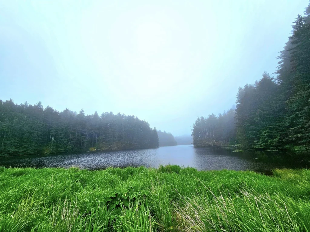 Cruising with Danny and Peter, Holland America Line, Westerdam, Kodiak, Alaska, United States | Explore Fort Abercrombie State Historical Park in Kodiak, Alaska, with views of WWII coastal defense remnants, the Observation Tower, and scenic Piedmont Point. Experience an exquisite dinner at Tamarind in the Pinnacle Grill aboard an Alaska Arctic Circle Solstice cruise, featuring Asian-inspired cuisine.
