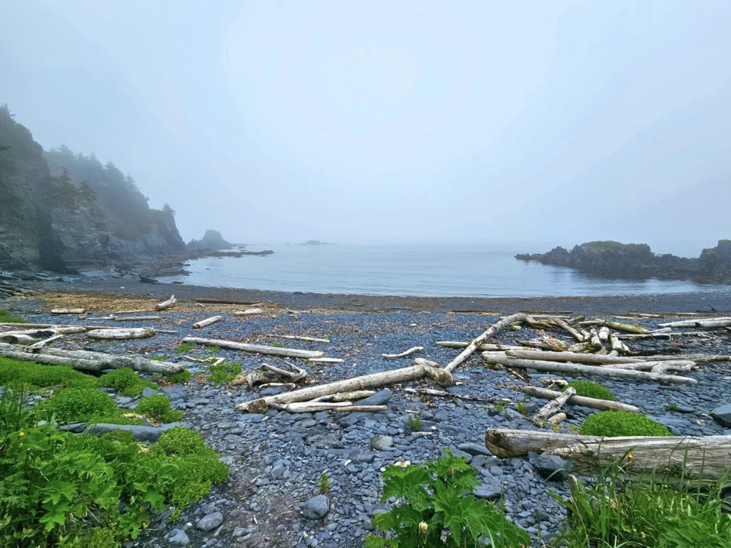 Cruising with Danny and Peter, Holland America Line, Westerdam, Kodiak, Alaska, United States | Explore Fort Abercrombie State Historical Park in Kodiak, Alaska, with views of WWII coastal defense remnants, the Observation Tower, and scenic Piedmont Point. Experience an exquisite dinner at Tamarind in the Pinnacle Grill aboard an Alaska Arctic Circle Solstice cruise, featuring Asian-inspired cuisine.