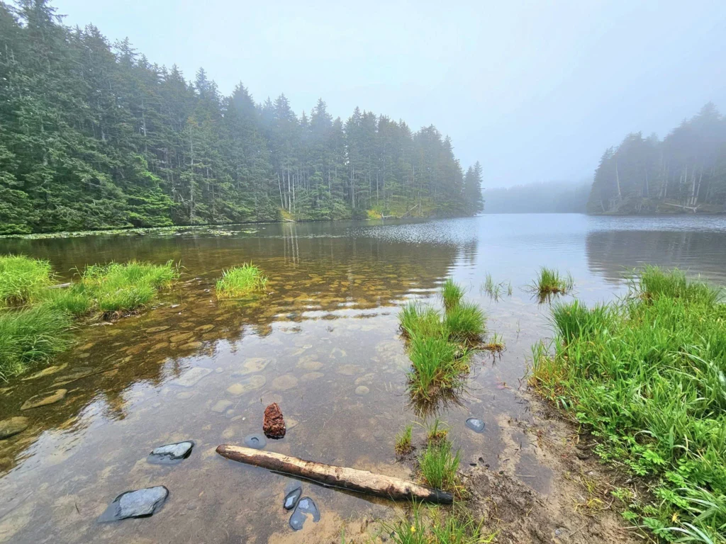 Cruising with Danny and Peter, Holland America Line, Westerdam, Kodiak, Alaska, United States | Explore Fort Abercrombie State Historical Park in Kodiak, Alaska, with views of WWII coastal defense remnants, the Observation Tower, and scenic Piedmont Point. Experience an exquisite dinner at Tamarind in the Pinnacle Grill aboard an Alaska Arctic Circle Solstice cruise, featuring Asian-inspired cuisine.