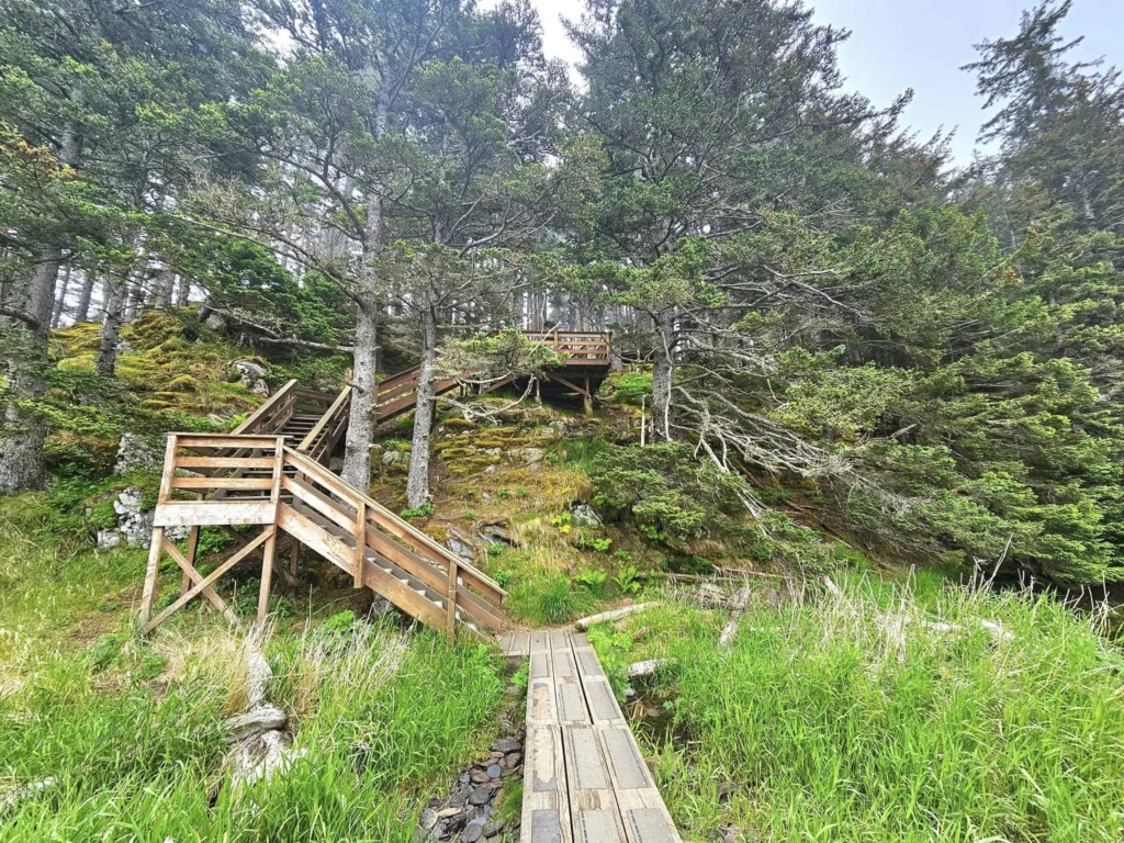 Cruising with Danny and Peter, Holland America Line, Westerdam, Kodiak, Alaska, United States | Explore Fort Abercrombie State Historical Park in Kodiak, Alaska, with views of WWII coastal defense remnants, the Observation Tower, and scenic Piedmont Point. Experience an exquisite dinner at Tamarind in the Pinnacle Grill aboard an Alaska Arctic Circle Solstice cruise, featuring Asian-inspired cuisine.