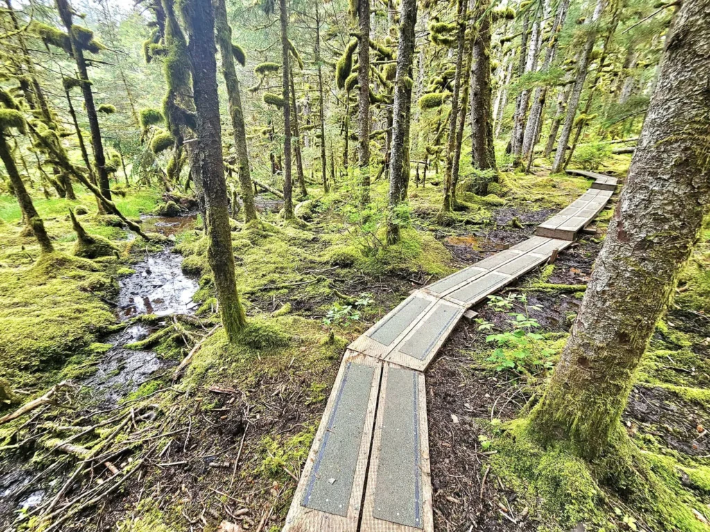 Cruising with Danny and Peter, Holland America Line, Westerdam, Kodiak, Alaska, United States | Explore Fort Abercrombie State Historical Park in Kodiak, Alaska, with views of WWII coastal defense remnants, the Observation Tower, and scenic Piedmont Point. Experience an exquisite dinner at Tamarind in the Pinnacle Grill aboard an Alaska Arctic Circle Solstice cruise, featuring Asian-inspired cuisine.