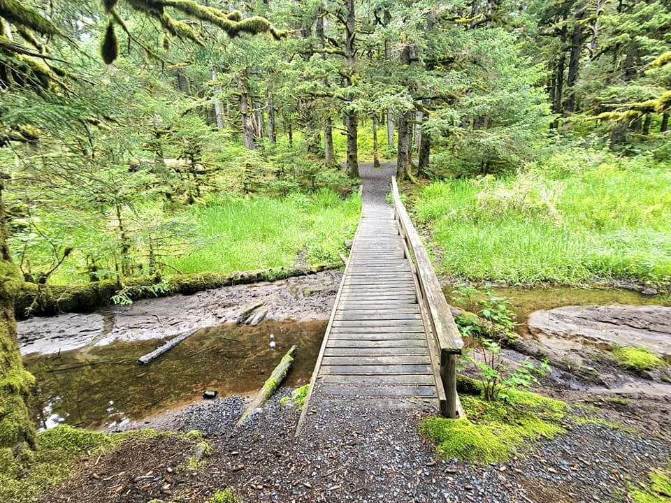 Cruising with Danny and Peter, Holland America Line, Westerdam, Kodiak, Alaska, United States | Explore Fort Abercrombie State Historical Park in Kodiak, Alaska, with views of WWII coastal defense remnants, the Observation Tower, and scenic Piedmont Point. Experience an exquisite dinner at Tamarind in the Pinnacle Grill aboard an Alaska Arctic Circle Solstice cruise, featuring Asian-inspired cuisine.