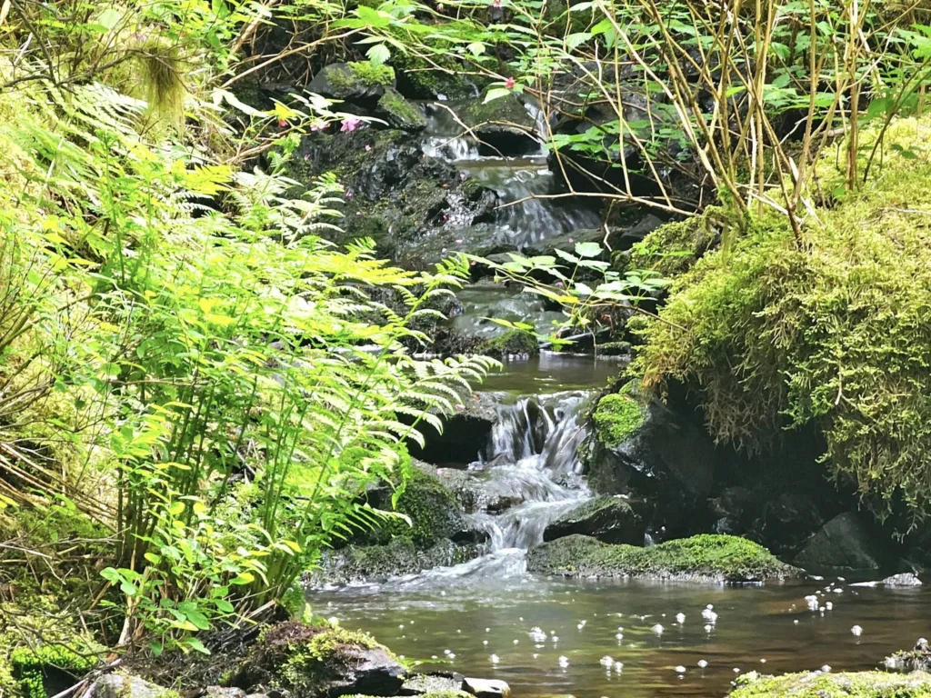 Cruising with Danny and Peter, Holland America Line, Westerdam, Kodiak, Alaska, United States | Explore Fort Abercrombie State Historical Park in Kodiak, Alaska, with views of WWII coastal defense remnants, the Observation Tower, and scenic Piedmont Point. Experience an exquisite dinner at Tamarind in the Pinnacle Grill aboard an Alaska Arctic Circle Solstice cruise, featuring Asian-inspired cuisine.