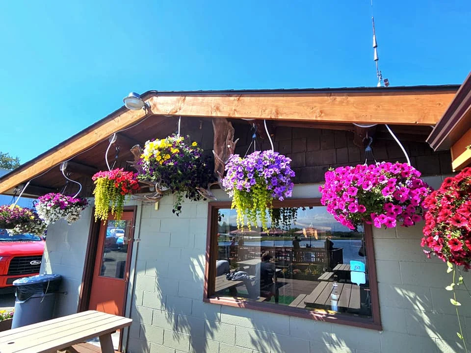 Unforgettable Alaska Flightseeing: A Journey Over Denali National Park 16 Cruising with Danny and Peter, Holland America Line, Westerdam, Anchorage, Alaska, United States | Aerial view of Denali, North America's tallest peak, and the majestic Alaska Range, captured during a Denali National Park flightseeing tour from Anchorage. The image also shows the stunning Ruth Glacier, a specialized plane with skis landing on Denali's snowy terrain, and wildlife such as moose grazing and beluga whales swimming in Cook Inlet.