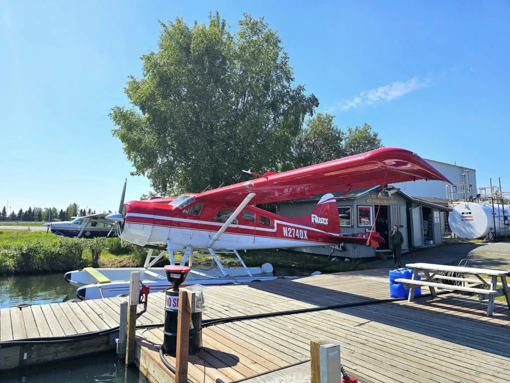 Unforgettable Alaska Flightseeing: A Journey Over Denali National Park 18 Cruising with Danny and Peter, Holland America Line, Westerdam, Anchorage, Alaska, United States | Aerial view of Denali, North America's tallest peak, and the majestic Alaska Range, captured during a Denali National Park flightseeing tour from Anchorage. The image also shows the stunning Ruth Glacier, a specialized plane with skis landing on Denali's snowy terrain, and wildlife such as moose grazing and beluga whales swimming in Cook Inlet.