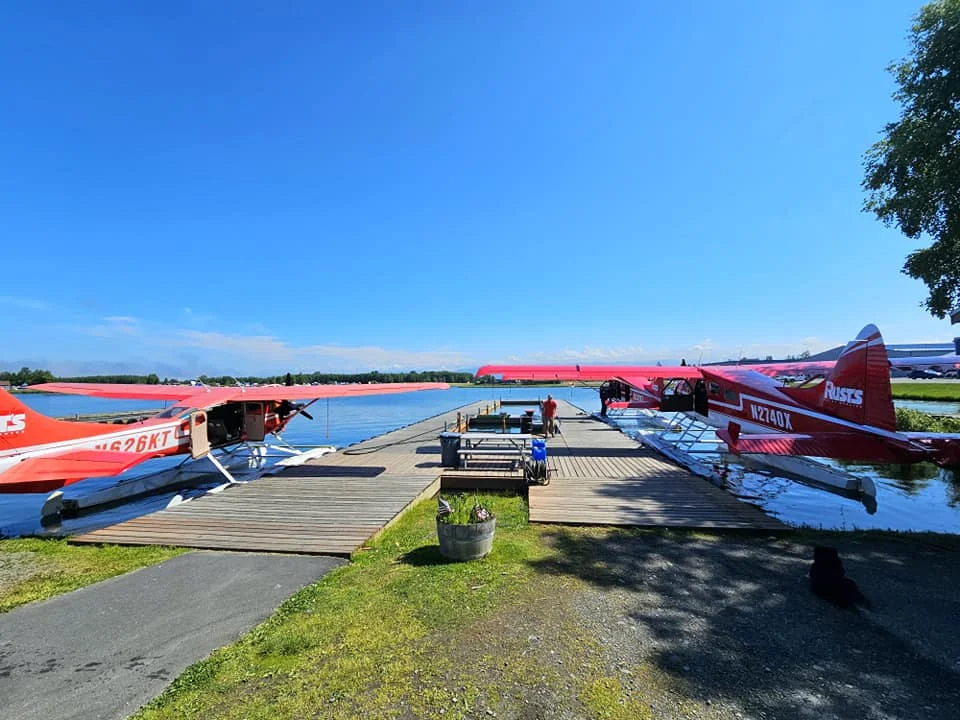 Unforgettable Alaska Flightseeing: A Journey Over Denali National Park 21 Cruising with Danny and Peter, Holland America Line, Westerdam, Anchorage, Alaska, United States | Aerial view of Denali, North America's tallest peak, and the majestic Alaska Range, captured during a Denali National Park flightseeing tour from Anchorage. The image also shows the stunning Ruth Glacier, a specialized plane with skis landing on Denali's snowy terrain, and wildlife such as moose grazing and beluga whales swimming in Cook Inlet.