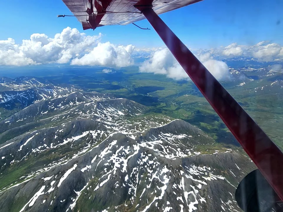 Unforgettable Alaska Flightseeing: A Journey Over Denali National Park 31 Cruising with Danny and Peter, Holland America Line, Westerdam, Anchorage, Alaska, United States | Aerial view of Denali, North America's tallest peak, and the majestic Alaska Range, captured during a Denali National Park flightseeing tour from Anchorage. The image also shows the stunning Ruth Glacier, a specialized plane with skis landing on Denali's snowy terrain, and wildlife such as moose grazing and beluga whales swimming in Cook Inlet.