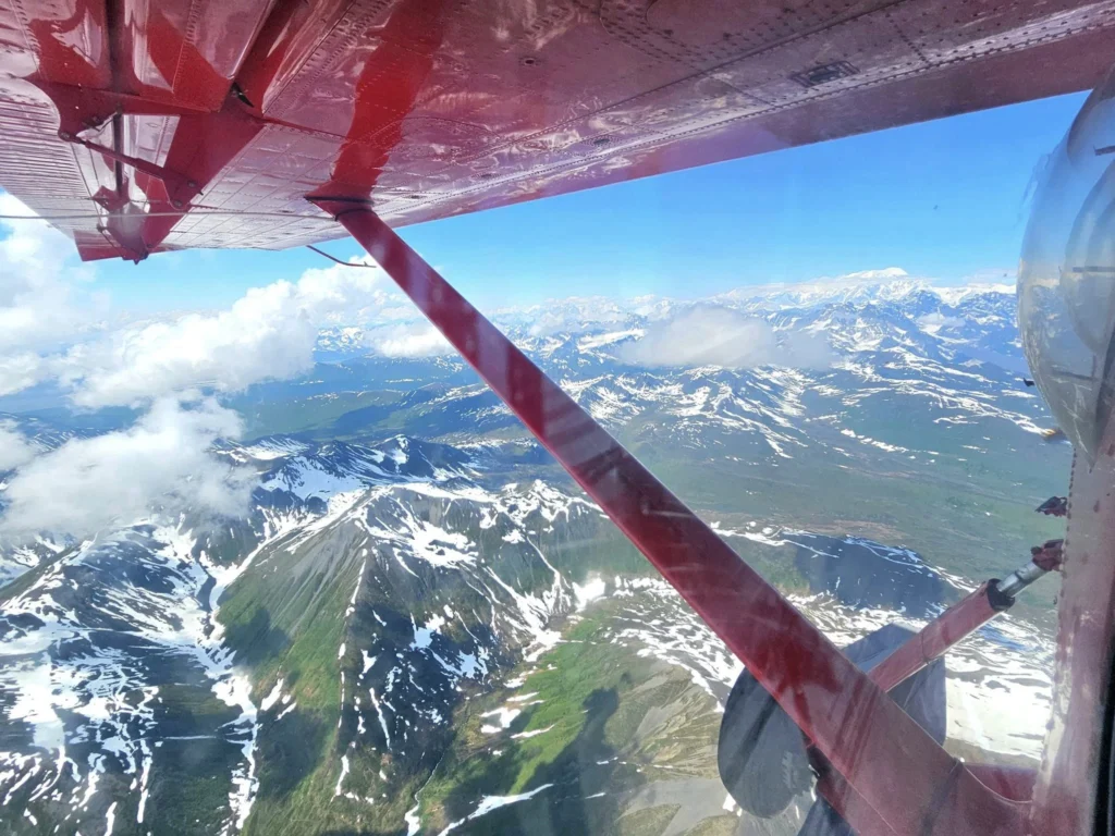 Unforgettable Alaska Flightseeing: A Journey Over Denali National Park 34 Cruising with Danny and Peter, Holland America Line, Westerdam, Anchorage, Alaska, United States | Aerial view of Denali, North America's tallest peak, and the majestic Alaska Range, captured during a Denali National Park flightseeing tour from Anchorage. The image also shows the stunning Ruth Glacier, a specialized plane with skis landing on Denali's snowy terrain, and wildlife such as moose grazing and beluga whales swimming in Cook Inlet.