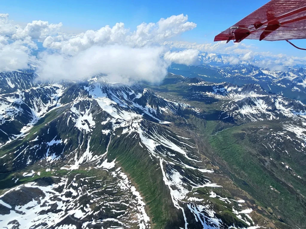 Unforgettable Alaska Flightseeing: A Journey Over Denali National Park 4 Cruising with Danny and Peter, Holland America Line, Westerdam, Anchorage, Alaska, United States | Aerial view of Denali, North America's tallest peak, and the majestic Alaska Range, captured during a Denali National Park flightseeing tour from Anchorage. The image also shows the stunning Ruth Glacier, a specialized plane with skis landing on Denali's snowy terrain, and wildlife such as moose grazing and beluga whales swimming in Cook Inlet.