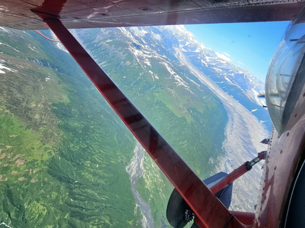 Unforgettable Alaska Flightseeing: A Journey Over Denali National Park 36 Cruising with Danny and Peter, Holland America Line, Westerdam, Anchorage, Alaska, United States | Aerial view of Denali, North America's tallest peak, and the majestic Alaska Range, captured during a Denali National Park flightseeing tour from Anchorage. The image also shows the stunning Ruth Glacier, a specialized plane with skis landing on Denali's snowy terrain, and wildlife such as moose grazing and beluga whales swimming in Cook Inlet.