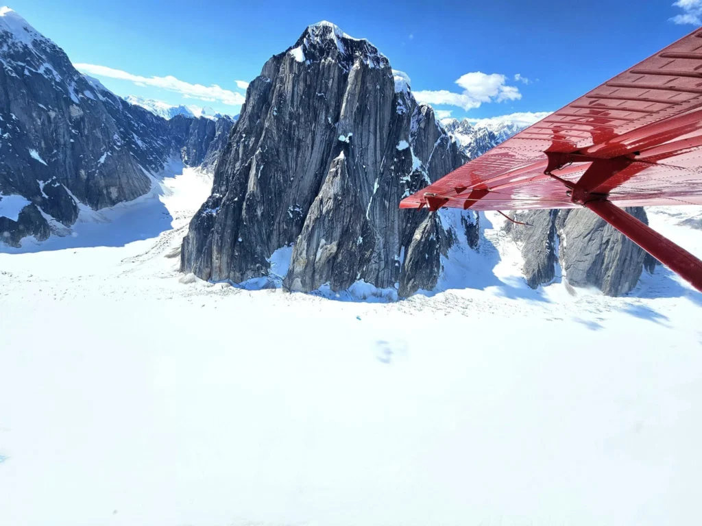 Unforgettable Alaska Flightseeing: A Journey Over Denali National Park 45 Cruising with Danny and Peter, Holland America Line, Westerdam, Anchorage, Alaska, United States | Aerial view of Denali, North America's tallest peak, and the majestic Alaska Range, captured during a Denali National Park flightseeing tour from Anchorage. The image also shows the stunning Ruth Glacier, a specialized plane with skis landing on Denali's snowy terrain, and wildlife such as moose grazing and beluga whales swimming in Cook Inlet.