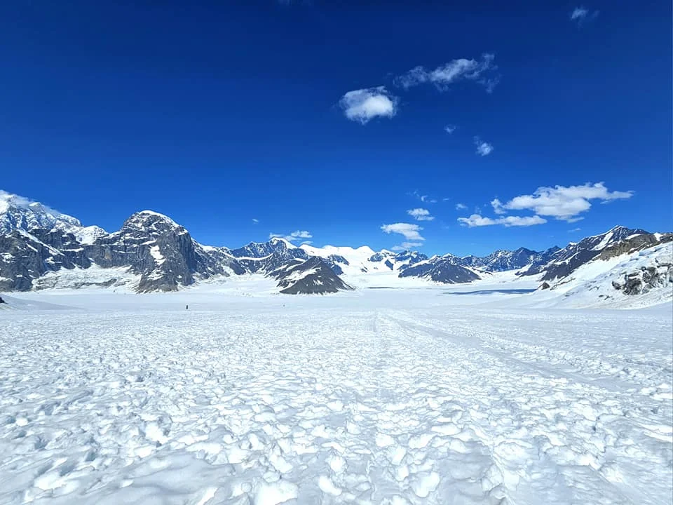 Unforgettable Alaska Flightseeing: A Journey Over Denali National Park 47 Cruising with Danny and Peter, Holland America Line, Westerdam, Anchorage, Alaska, United States | Aerial view of Denali, North America's tallest peak, and the majestic Alaska Range, captured during a Denali National Park flightseeing tour from Anchorage. The image also shows the stunning Ruth Glacier, a specialized plane with skis landing on Denali's snowy terrain, and wildlife such as moose grazing and beluga whales swimming in Cook Inlet.