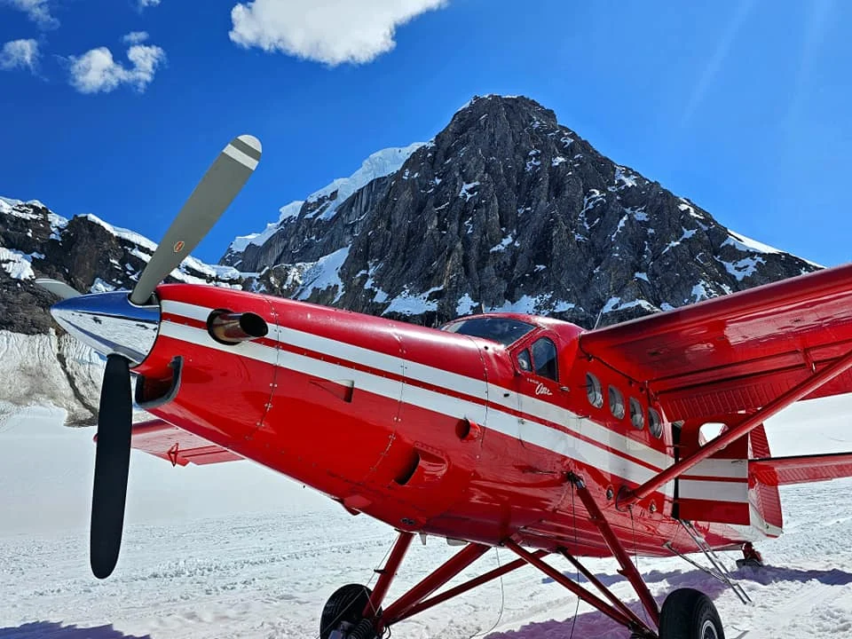 Unforgettable Alaska Flightseeing: A Journey Over Denali National Park 55 Cruising with Danny and Peter, Holland America Line, Westerdam, Anchorage, Alaska, United States | Aerial view of Denali, North America's tallest peak, and the majestic Alaska Range, captured during a Denali National Park flightseeing tour from Anchorage. The image also shows the stunning Ruth Glacier, a specialized plane with skis landing on Denali's snowy terrain, and wildlife such as moose grazing and beluga whales swimming in Cook Inlet.