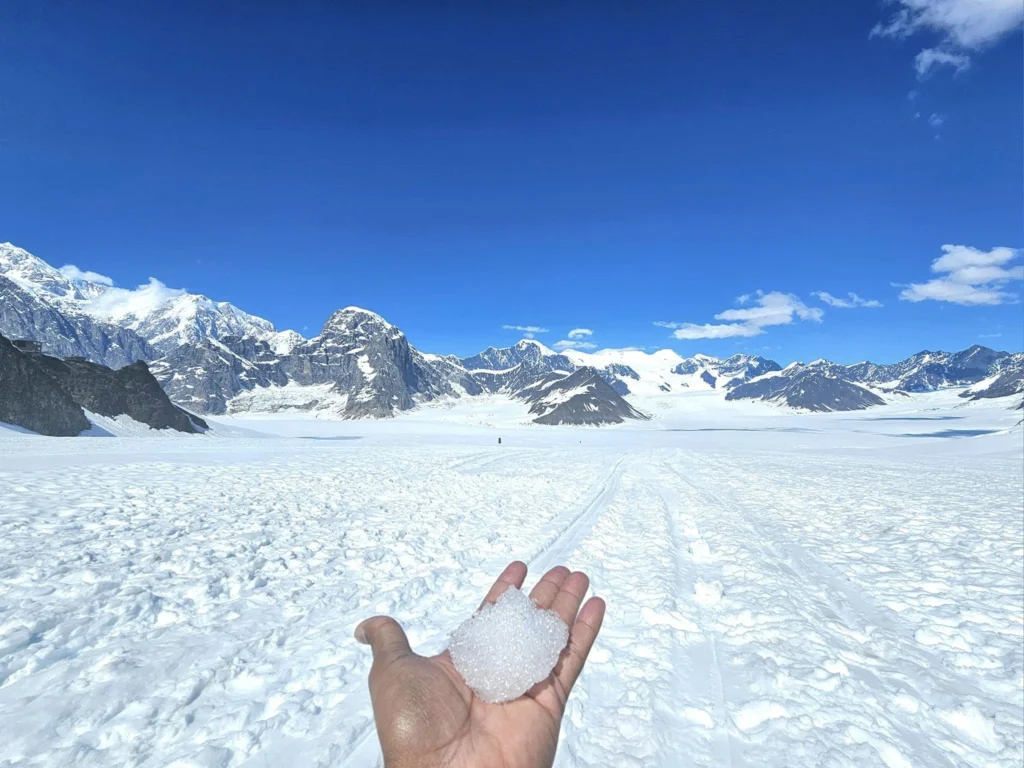 Unforgettable Alaska Flightseeing: A Journey Over Denali National Park 59 Cruising with Danny and Peter, Holland America Line, Westerdam, Anchorage, Alaska, United States | Aerial view of Denali, North America's tallest peak, and the majestic Alaska Range, captured during a Denali National Park flightseeing tour from Anchorage. The image also shows the stunning Ruth Glacier, a specialized plane with skis landing on Denali's snowy terrain, and wildlife such as moose grazing and beluga whales swimming in Cook Inlet.