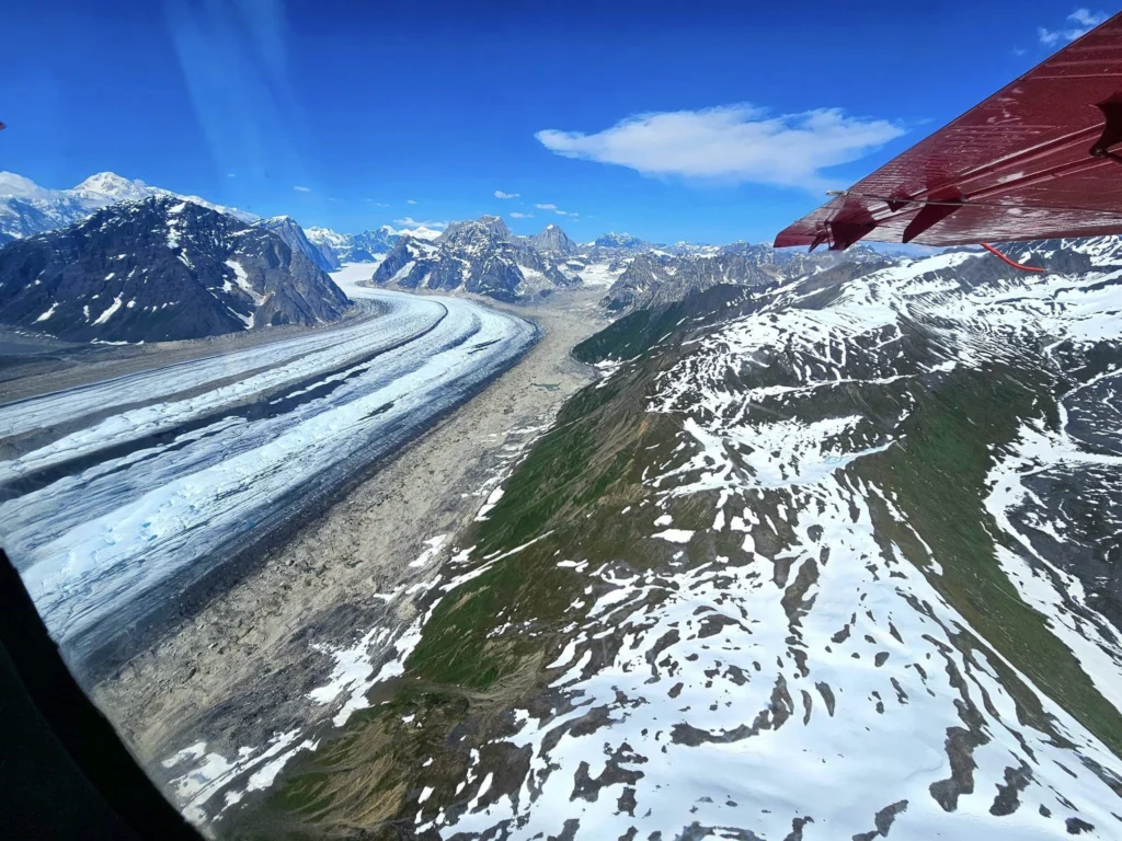 Unforgettable Alaska Flightseeing: A Journey Over Denali National Park 73 Cruising with Danny and Peter, Holland America Line, Westerdam, Anchorage, Alaska, United States | Aerial view of Denali, North America's tallest peak, and the majestic Alaska Range, captured during a Denali National Park flightseeing tour from Anchorage. The image also shows the stunning Ruth Glacier, a specialized plane with skis landing on Denali's snowy terrain, and wildlife such as moose grazing and beluga whales swimming in Cook Inlet.