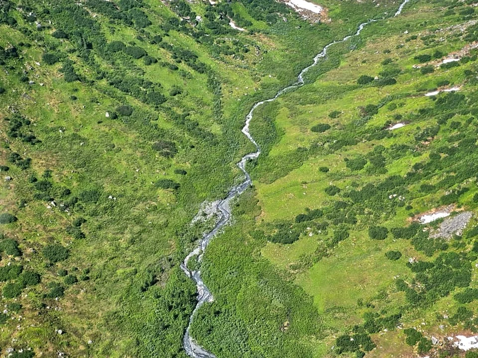 Unforgettable Alaska Flightseeing: A Journey Over Denali National Park 74 Cruising with Danny and Peter, Holland America Line, Westerdam, Anchorage, Alaska, United States | Aerial view of Denali, North America's tallest peak, and the majestic Alaska Range, captured during a Denali National Park flightseeing tour from Anchorage. The image also shows the stunning Ruth Glacier, a specialized plane with skis landing on Denali's snowy terrain, and wildlife such as moose grazing and beluga whales swimming in Cook Inlet.