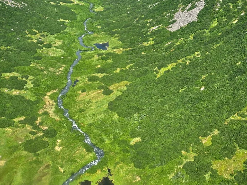 Unforgettable Alaska Flightseeing: A Journey Over Denali National Park 75 Cruising with Danny and Peter, Holland America Line, Westerdam, Anchorage, Alaska, United States | Aerial view of Denali, North America's tallest peak, and the majestic Alaska Range, captured during a Denali National Park flightseeing tour from Anchorage. The image also shows the stunning Ruth Glacier, a specialized plane with skis landing on Denali's snowy terrain, and wildlife such as moose grazing and beluga whales swimming in Cook Inlet.