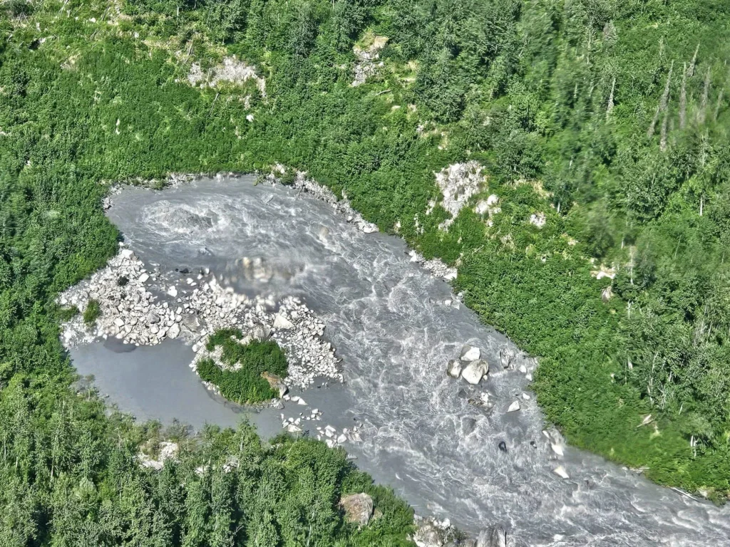 Unforgettable Alaska Flightseeing: A Journey Over Denali National Park 76 Cruising with Danny and Peter, Holland America Line, Westerdam, Anchorage, Alaska, United States | Aerial view of Denali, North America's tallest peak, and the majestic Alaska Range, captured during a Denali National Park flightseeing tour from Anchorage. The image also shows the stunning Ruth Glacier, a specialized plane with skis landing on Denali's snowy terrain, and wildlife such as moose grazing and beluga whales swimming in Cook Inlet.