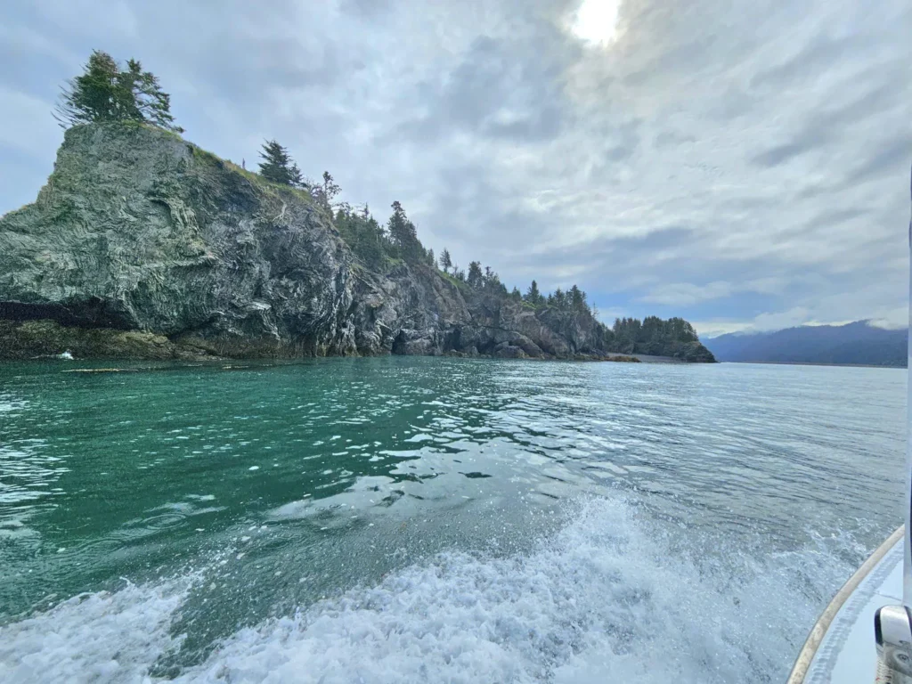 Cruising with Danny and Peter, Holland America Line, Westerdam, Spit (Homer), Alaska, United States | Boat on a morning water tour near Spit with Alaska Water Taxi & Charter, showing seabirds in flight, playful seals in Peterson Bay, sea otters in Cook Inlet, and guests enjoying The Orange Party on the Westerdam. Highlights include scenic boardwalk in Spit and a delicious Alaska seafood boil at Lido Market.