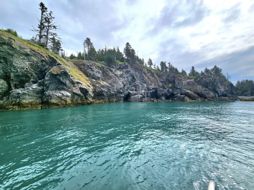 Cruising with Danny and Peter, Holland America Line, Westerdam, Spit (Homer), Alaska, United States | Boat on a morning water tour near Spit with Alaska Water Taxi & Charter, showing seabirds in flight, playful seals in Peterson Bay, sea otters in Cook Inlet, and guests enjoying The Orange Party on the Westerdam. Highlights include scenic boardwalk in Spit and a delicious Alaska seafood boil at Lido Market.