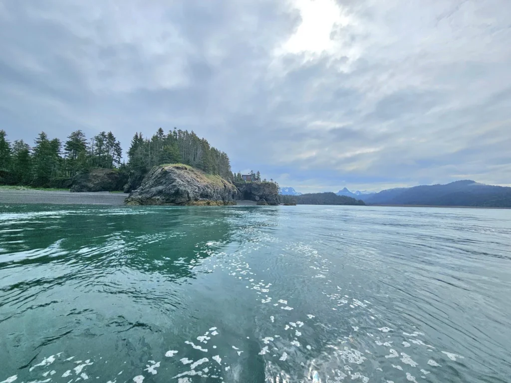 Cruising with Danny and Peter, Holland America Line, Westerdam, Spit (Homer), Alaska, United States | Boat on a morning water tour near Spit with Alaska Water Taxi & Charter, showing seabirds in flight, playful seals in Peterson Bay, sea otters in Cook Inlet, and guests enjoying The Orange Party on the Westerdam. Highlights include scenic boardwalk in Spit and a delicious Alaska seafood boil at Lido Market.
