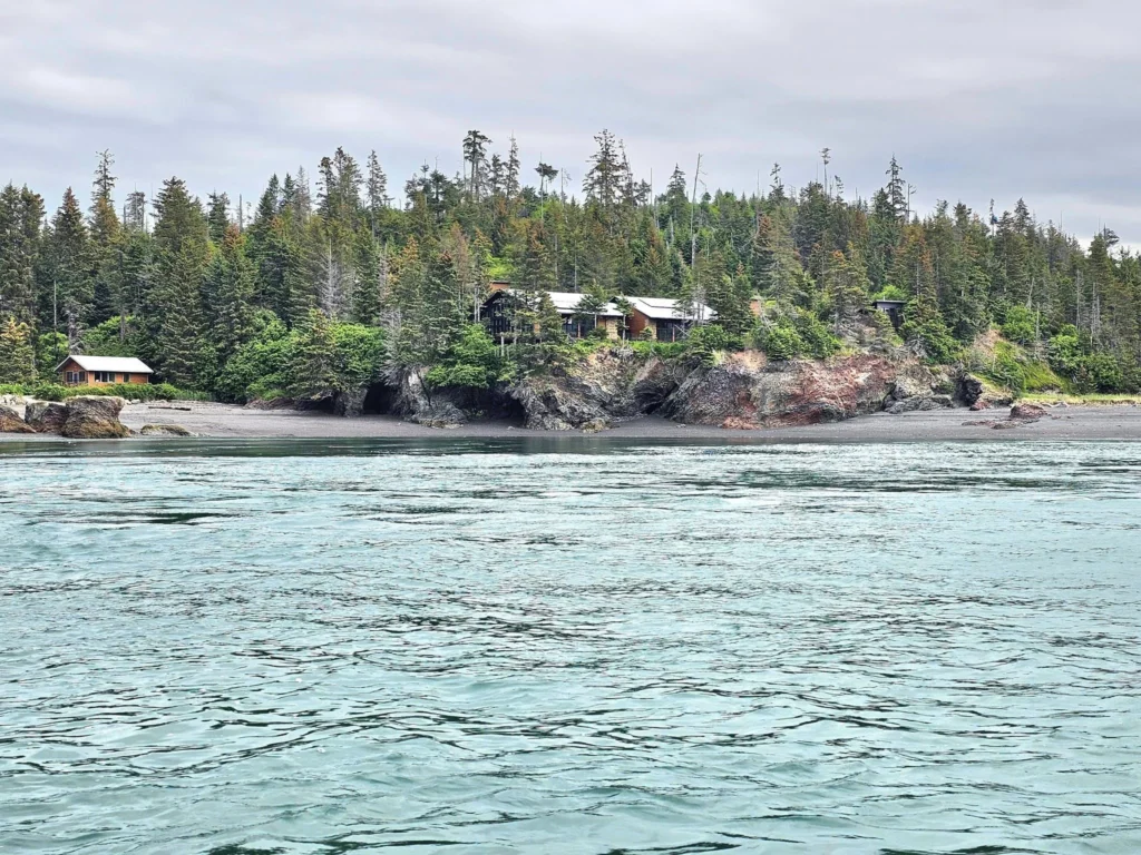 Cruising with Danny and Peter, Holland America Line, Westerdam, Spit (Homer), Alaska, United States | Boat on a morning water tour near Spit with Alaska Water Taxi & Charter, showing seabirds in flight, playful seals in Peterson Bay, sea otters in Cook Inlet, and guests enjoying The Orange Party on the Westerdam. Highlights include scenic boardwalk in Spit and a delicious Alaska seafood boil at Lido Market.