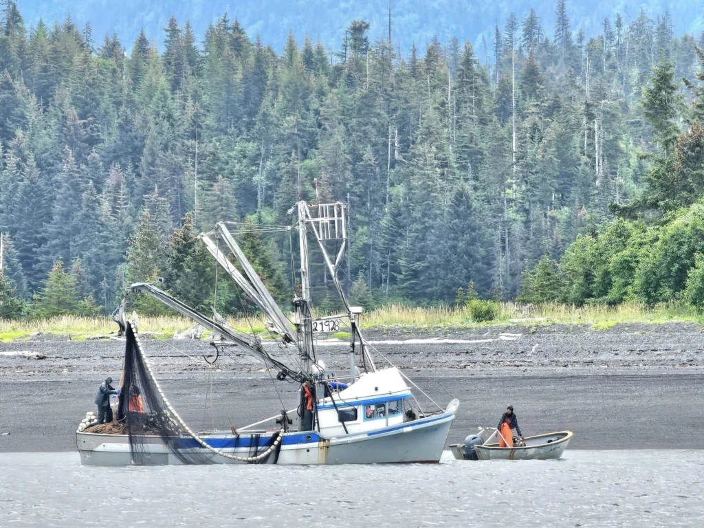 Cruising with Danny and Peter, Holland America Line, Westerdam, Spit (Homer), Alaska, United States | Boat on a morning water tour near Spit with Alaska Water Taxi & Charter, showing seabirds in flight, playful seals in Peterson Bay, sea otters in Cook Inlet, and guests enjoying The Orange Party on the Westerdam. Highlights include scenic boardwalk in Spit and a delicious Alaska seafood boil at Lido Market.