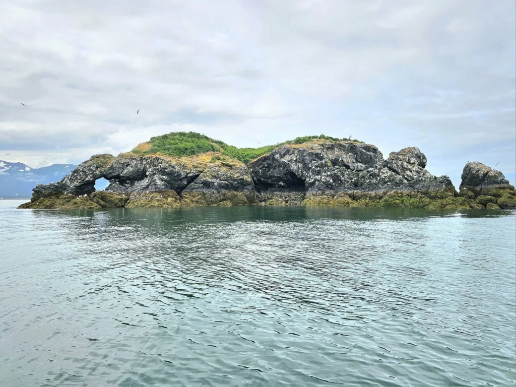 Cruising with Danny and Peter, Holland America Line, Westerdam, Spit (Homer), Alaska, United States | Boat on a morning water tour near Spit with Alaska Water Taxi & Charter, showing seabirds in flight, playful seals in Peterson Bay, sea otters in Cook Inlet, and guests enjoying The Orange Party on the Westerdam. Highlights include scenic boardwalk in Spit and a delicious Alaska seafood boil at Lido Market.