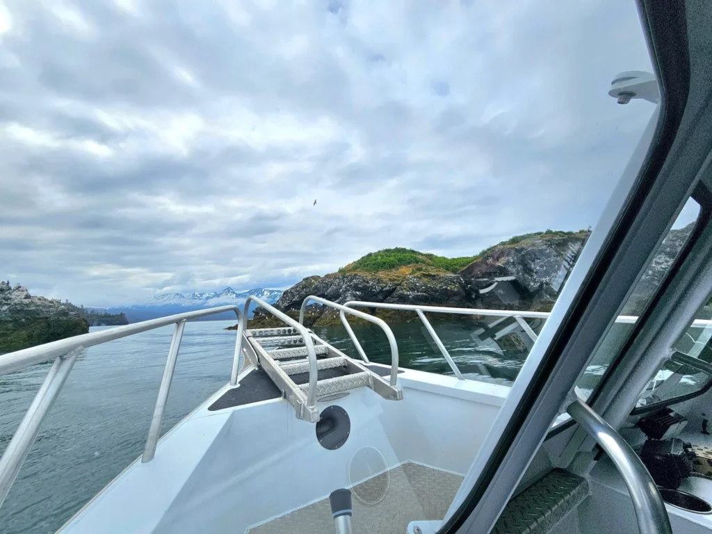 Cruising with Danny and Peter, Holland America Line, Westerdam, Spit (Homer), Alaska, United States | Boat on a morning water tour near Spit with Alaska Water Taxi & Charter, showing seabirds in flight, playful seals in Peterson Bay, sea otters in Cook Inlet, and guests enjoying The Orange Party on the Westerdam. Highlights include scenic boardwalk in Spit and a delicious Alaska seafood boil at Lido Market.