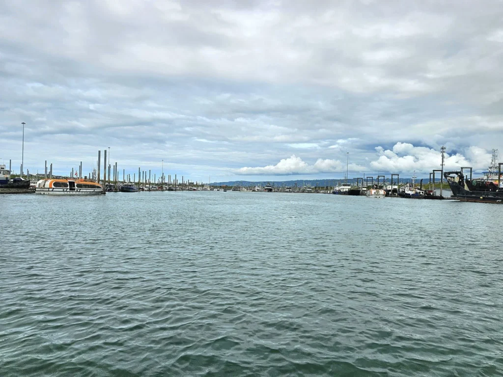 Cruising with Danny and Peter, Holland America Line, Westerdam, Spit (Homer), Alaska, United States | Boat on a morning water tour near Spit with Alaska Water Taxi & Charter, showing seabirds in flight, playful seals in Peterson Bay, sea otters in Cook Inlet, and guests enjoying The Orange Party on the Westerdam. Highlights include scenic boardwalk in Spit and a delicious Alaska seafood boil at Lido Market.