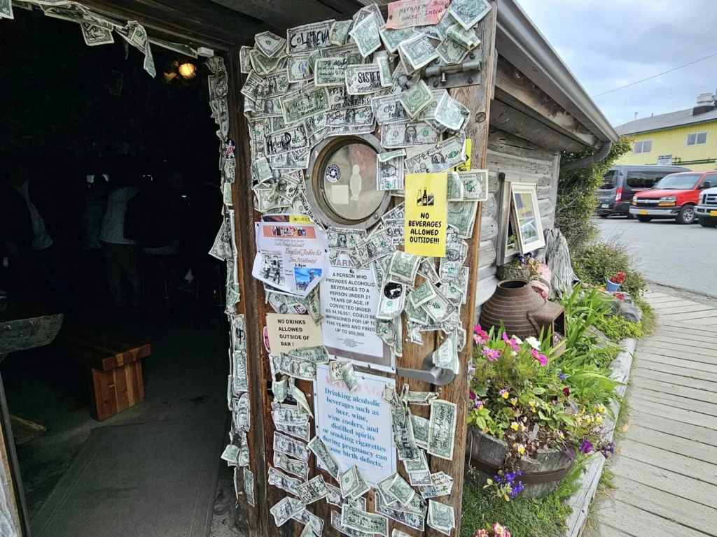 Cruising with Danny and Peter, Holland America Line, Westerdam, Spit (Homer), Alaska, United States | Boat on a morning water tour near Spit with Alaska Water Taxi & Charter, showing seabirds in flight, playful seals in Peterson Bay, sea otters in Cook Inlet, and guests enjoying The Orange Party on the Westerdam. Highlights include scenic boardwalk in Spit and a delicious Alaska seafood boil at Lido Market.