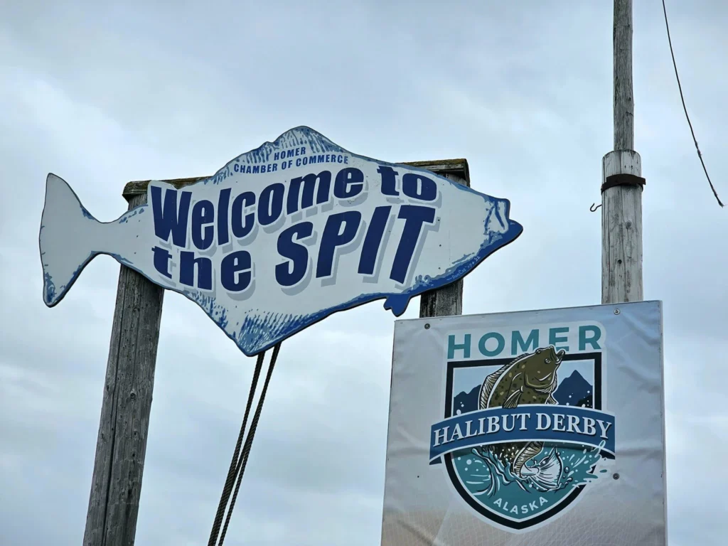 Cruising with Danny and Peter, Holland America Line, Westerdam, Spit (Homer), Alaska, United States | Boat on a morning water tour near Spit with Alaska Water Taxi & Charter, showing seabirds in flight, playful seals in Peterson Bay, sea otters in Cook Inlet, and guests enjoying The Orange Party on the Westerdam. Highlights include scenic boardwalk in Spit and a delicious Alaska seafood boil at Lido Market.