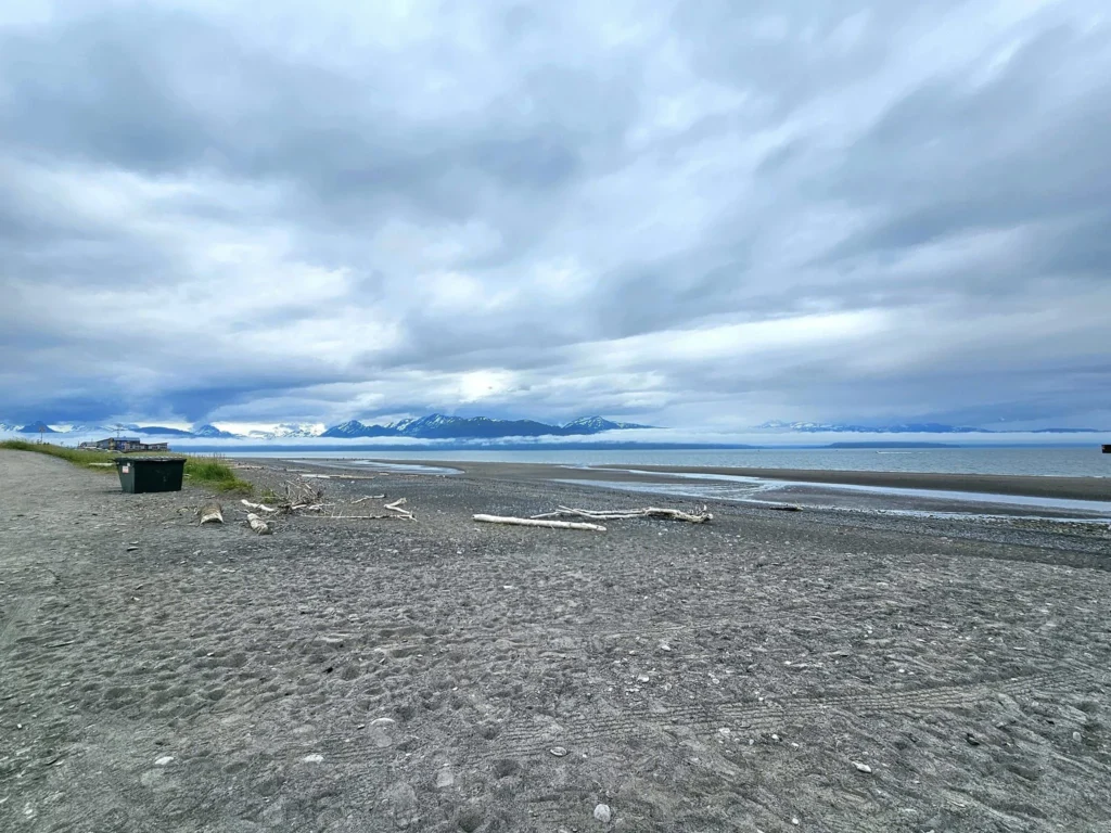 Cruising with Danny and Peter, Holland America Line, Westerdam, Spit (Homer), Alaska, United States | Boat on a morning water tour near Spit with Alaska Water Taxi & Charter, showing seabirds in flight, playful seals in Peterson Bay, sea otters in Cook Inlet, and guests enjoying The Orange Party on the Westerdam. Highlights include scenic boardwalk in Spit and a delicious Alaska seafood boil at Lido Market.