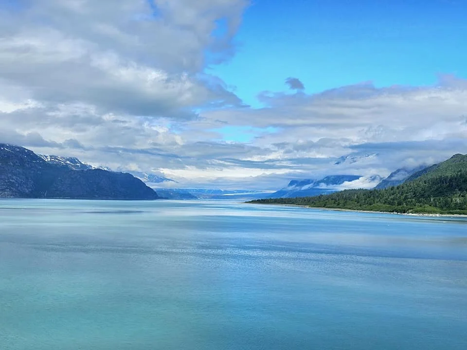 Cruising with Danny and Peter, Holland America Line, Westerdam, Glacier Bay, Alaska, United States | Westerdam cruise ship sailing through Glacier Bay on the Alaska Arctic Circle Solstice Cruise, showcasing stunning glaciers, snow-capped mountains, and diverse wildlife.