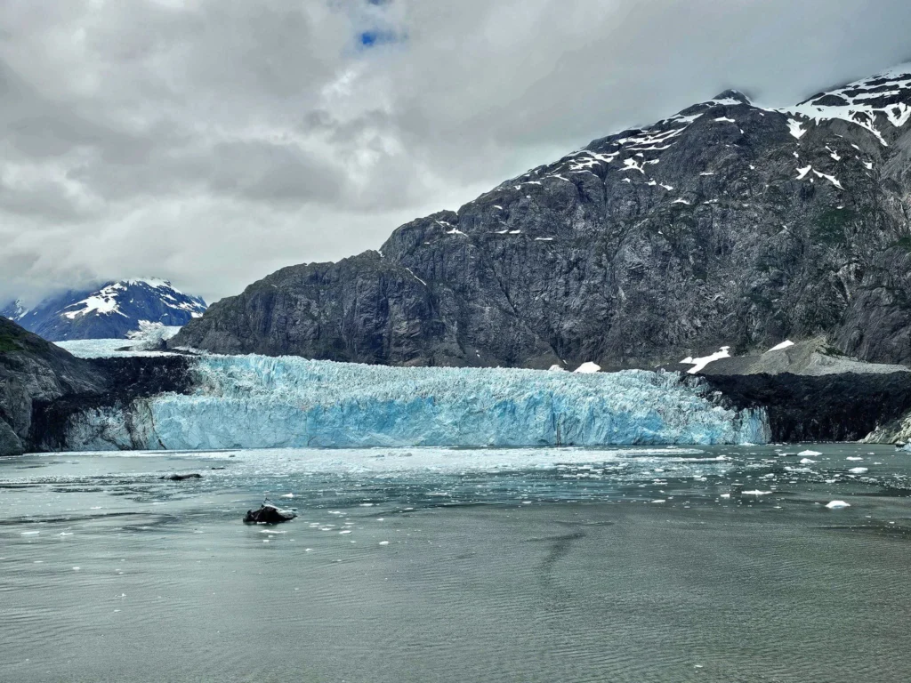 Cruising with Danny and Peter, Holland America Line, Westerdam, Glacier Bay, Alaska, United States | Westerdam cruise ship sailing through Glacier Bay on the Alaska Arctic Circle Solstice Cruise, showcasing stunning glaciers, snow-capped mountains, and diverse wildlife.