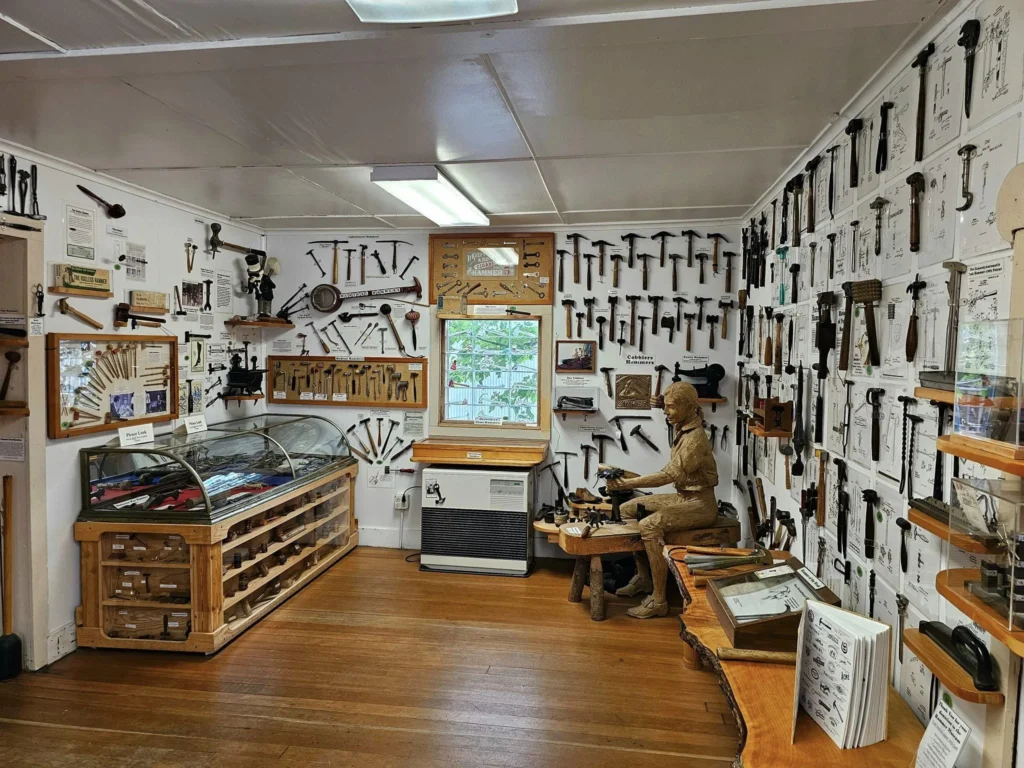 Cruising with Danny and Peter, Holland America Line, Westerdam, Haines (Skagway), Alaska, United States | Westerdam ship navigating Alaskan fjords, with views of Davidson Glacier and wildlife sightings during the Arctic Circle cruise. Includes images of exploring Haines Sheldon Museum, canoeing towards the glacier, and the forest walk to Glacier Point.