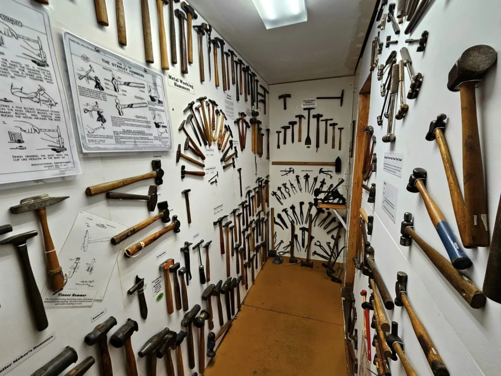 Cruising with Danny and Peter, Holland America Line, Westerdam, Haines (Skagway), Alaska, United States | Westerdam ship navigating Alaskan fjords, with views of Davidson Glacier and wildlife sightings during the Arctic Circle cruise. Includes images of exploring Haines Sheldon Museum, canoeing towards the glacier, and the forest walk to Glacier Point.